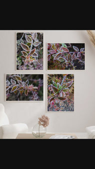 Winter Frost Macro Canvas Wall Art | Bring Nature's Serenity Indoors | Authentic Photography Print Set of 4 | Biophilic Home Decor