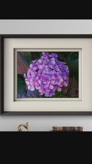 Purple Hydrangea Blossom | Authentic Closeup Photography Print | Unframed Canvas Horizontal Print | Biophilic Floral Wall Art