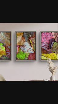Autumn Vibrant Leaves Authentic Macro Photography | Unstretched Canvas Vertical Wall Art Set of 3 | Biophilic Nature Décor