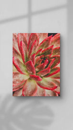 Red Succulents with Raindrops | Macro Photography Print | Vertical Gallery Wrapped Canvas Wall Art for Home & Office