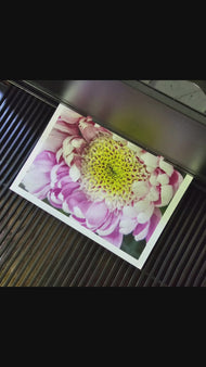 Spring Pink Flowers Canvas Wall Art Set of 3 | Unframed Vertical Macro Photography Prints | Biophilic Décor for Living Room, Bedroom & Office