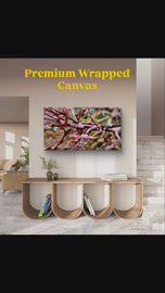 Spring Maple Branches with Raindrops – Tranquil Nature Macro Photography Print | Horizontal  Gallery Wrapped Large Canvas Wall Art