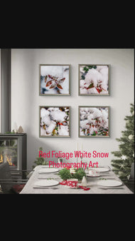 Winter Snowy Red Foliage Canvas Print Set of 4 | Authentic Macro Photography | Unstretched Square Wall Art Biophilic Decor