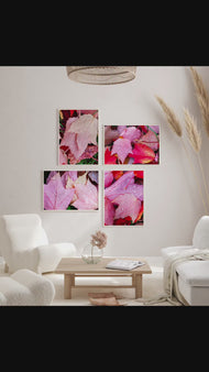 Autumn Vibrant Red Pink Rain-Kissed Leaves Biophilic Wall Art Decor | Authentic Macro Nature Photography | Unstretched Canvas Set of 4 Prints
