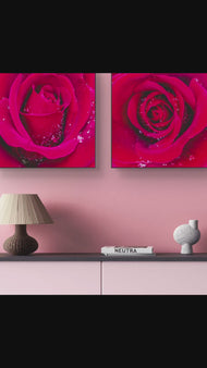 Red Roses with Raindrops | Authentic Nature Macro Photography | Unframed Canvas 2 Square Prints Set | Biophilic Style Wall Art for Home Décor