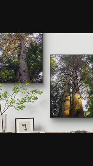 Forest Trees in Sunset Unframed Canvas Vertical Print Set of 2 | Authentic Nature Photography Wall Art | Biophilic Home Office Decor