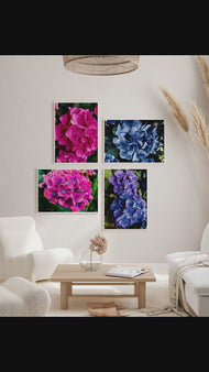 Purple & Pink Hydrangea Closeup Photography Unframed Canvas Set of 4 Prints | Modern Nature Wall Art for Home Office Decor | Elegant Gift