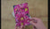 Vibrant Summer Flowers Greeting Cards 5x7 in with Envelopes | Original Floral Photography Art | Blank Note Cards Set of 4