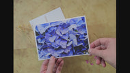Greeting / Note Cards with Envelopes Featuring Vibrant Hydrangea Blossoms Original Macro Photography | Blank 4 Cards Set – 7” x 5” | Nature Lover Gift