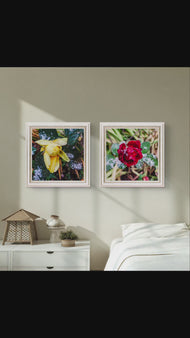 Winter Frost Covered Roses Authentic Macro Photography | Unstretched Canvas Square 2 Prints Set | Biophilic Style Wall Art | Holiday Season Gift