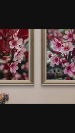 Cherry Blossom Canvas Print Set of 2 | Capture Spring Before It Fades | Authentic Closeup Photography | Biophilic Vertical Wall Art for Home Décor