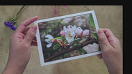 Greeting / Note Cards with Envelopes Featuring Apple Tree Flowers with Raindrops | Original Macro Photography | Blank 4 Cards Set – 4.5”x6.25”, 5.5”x8.5” | Nature Lover Gift