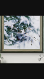 Winter Snowy Grass Authentic Macro Photography | Minimalist Serenity | Unframed Canvas Square Print | Biophilic Wall Decor
