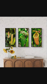 Vibrant Tropical Flowers Closeup Photography Unframed Canvas Set of 3 Prints - Modern Nature Wall Art for Home Office Decor