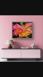 Pink Rose with Raindrops Macro Photography | Authentic Nature Wall Art | Unframed Canvas Horizontal Print | Modern Floral Home Office Decor
