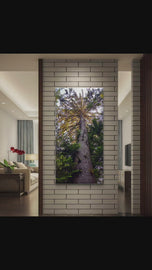 Summer Tree in Sunset | Authentic Nature Closeup Photography | Gallery Wrapped Canvas Vertical Print | Biophilic Wall Art for Home Decor