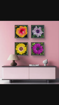 Vibrant Flowers with Raindrops Photography | Set of 4 Square Unframed Canvas Prints | Nature Wall Art for Home & Office