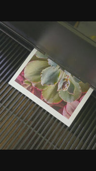 Sage Green Succulent Canvas Wall Art — Unframed Vertical Macro Photography Print | Botanical Closeup Decor for Bedroom, Bathroom & Spa | 3 Sizes