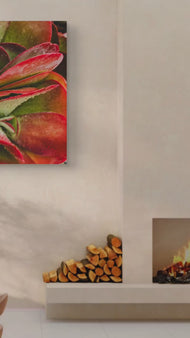 Red Succulents with Raindrops | Vertical Gallery Wrapped Canvas Print | Nature Photography Wall Art for Home & Office
