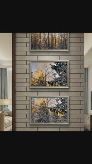 Winter Sunrise Forest Canvas Set of 3 | Peaceful Biophilic Wall Art
