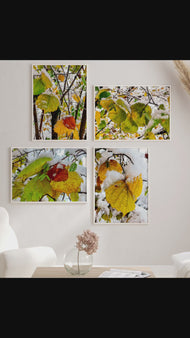 Winter Snowy Leaves Photography | Nature's Seasonal Magic | Set of 4 Canvas Prints | Biophilic Wall Art