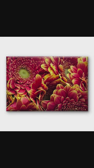 Red Floral Canvas Wall Art | Spring Gerbera Macro Photography | Horizontal Gallery Wrapped Print | Ready to Hang