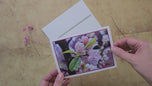 Greeting / Note Cards with Envelopes Featuring Apple Tree Flowers with Raindrops | Original Macro Photography | Blank 4 Cards Set – 4.5”x6.25”, 5.5”x8.5” | Nature Lover Gift