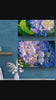 Blue Hydrangea in Sunset Canvas Print Set of 2 | Authentic Nature Photography Wall Art | Horizontal Unframed Canvas | Biophilic Home Décor