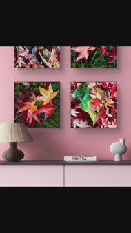Autumn Vibrant Leaves Canvas Set of 4 | Authentic Closeup Photography | Unframed Square Prints | Biophilic Wall Art Home & Office Décor