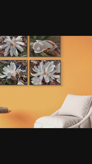 White Star Magnolia Blossom Photography Canvas Set of 4 | Unframed Horizontal Prints | Biophilic Décor for Living Room, Bedroom & Office