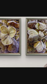 Winter Frosty Hydrangea Authentic Macro Photography | Nature's Calming Elegance | Unframed Canvas Vertical Print Set of 2 | Biophilic Wall Decor