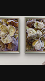 Winter Frosty Hydrangea Authentic Macro Photography | Nature's Calming Elegance | Unframed Canvas Vertical Print Set of 2 | Biophilic Wall Decor