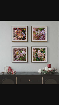 Winter Frost Leaves Photography Print Set of 4 | Unframed Canvas Wall Art | Biophilic Nature Decor | Square Macro Botanical Prints | Holiday Gift