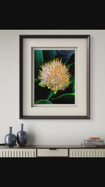 Vibrant Tropical Flower | Authentic Nature Closeup Photography Print | Vertical Unframed Canvas Wall Art for Biophilic Home Office Décor