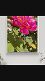 Vibrant Pink Rose with Dragonfly - Authentic Nature Closeup Photography - Unframed Canvas Vertical Print - Biophilic Wall Art for Home Office Décor