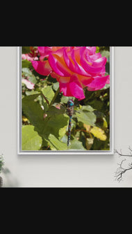 Vibrant Pink Rose with Dragonfly - Authentic Nature Closeup Photography - Unframed Canvas Vertical Print - Biophilic Wall Art for Home Office Décor