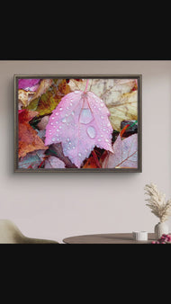 Autumn Colorful Leaves with Raindrops Canvas Print | Authentic Macro Photography | Unframed Horizontal Print | Biophilic Wall Art Décor