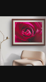 Red Rose Petals with Raindrops | Authentic Nature Macro Photography Print | Horizontal Unframed Canvas | Biophilic Wall Art Décor
