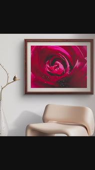 Red Rose Petals with Raindrops | Authentic Nature Macro Photography Print | Horizontal Unframed Canvas | Biophilic Wall Art Décor