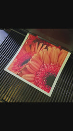 Spring Red Flowers Canvas Wall Art Set of 2 | Unframed Horizontal Macro Photography Prints | Biophilic Décor for Living Room, Bedroom & Office