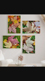 Autumn Rain Vibrant Leaves Authentic Macro Photography | Unstretched Canvas Print Set of 4 | Mixed Orientation Wall Art