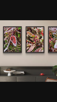 Frosted Leaves Canvas Art | Winter Nature Photography | 3-Piece Set