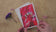 Greeting / Note Cards with Envelopes Featuring Red Tulip Flowers Original Macro Photography | Blank Floral Cards Set of 4
