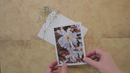 Greeting / Note Cards with Envelopes Featuring White Magnolia Flowers Original Closeup Photography | Blank 6 Cards Set – 4.5”x6.25”, 5.5”x8.5” | Nature Lover Gift