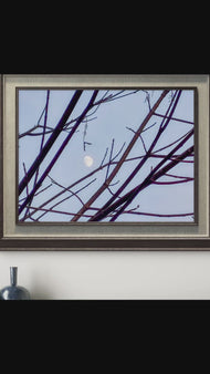 Winter Tree Branches Canvas Print | Blue Sky White Moon | Authentic Nature Photography | Biophilic Wall Art | Unframed Horizontal | Holiday Gift