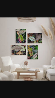 Autumn Vibrant Leaves Wall Art Set of 4 | Nature Closeup Original Photography | Unstretched Canvas Print | Biophilic Home & Office Decor