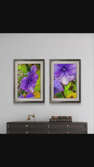 Autumn Rain Purple Hydrangea Macro Photography | Set of 2 Unframed Canvas Prints | Biophilic Wall Art