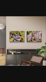 Vibrant Succulents Macro Photography by The Virtue of God | Unframed Horizontal Canvas Set of 2 Prints | Aesthetic Wall Art Home Décor