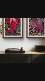 Winter Frosty Maple Leaves Authentic Macro Photography | Autumn's Final Glory | Unframed Canvas Vertical Print Set of 2 | Biophilic Wall Decor