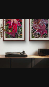 Winter Frosty Maple Leaves Authentic Macro Photography | Autumn's Final Glory | Unframed Canvas Vertical Print Set of 2 | Biophilic Wall Decor